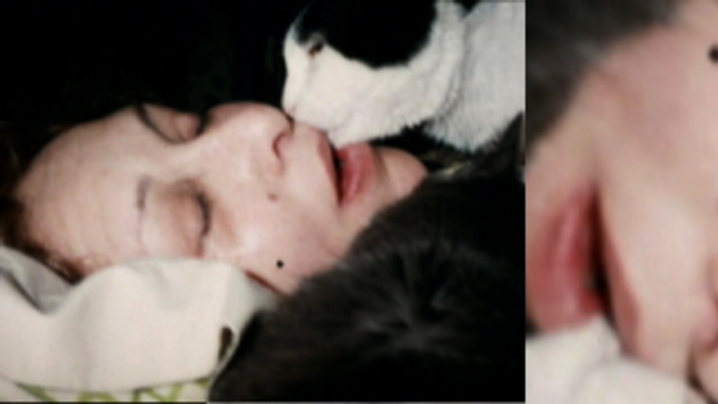 Screenshot of Carolee Schneemann's video work “Infinity Kisses” (2008)